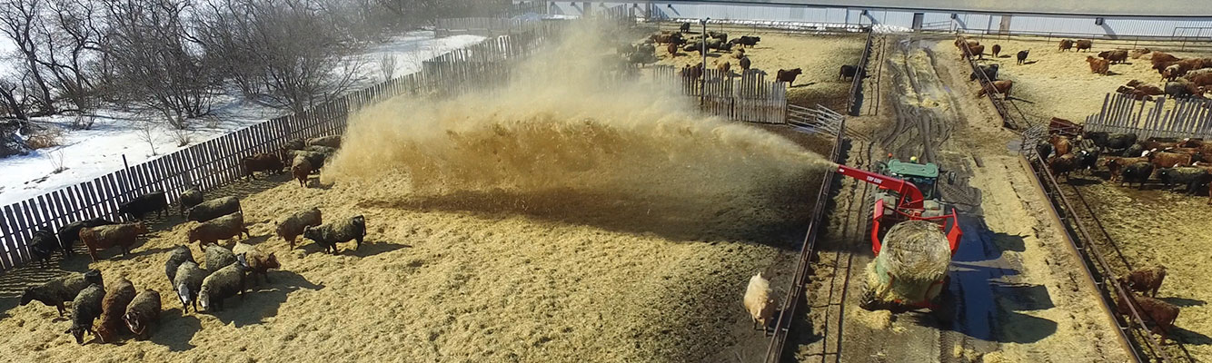 Farming Equipment for Sale MN